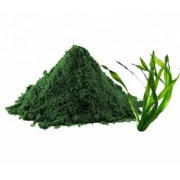 Pure spirulina powder